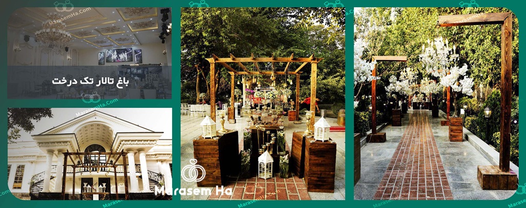 باغ عمارت تک درخت